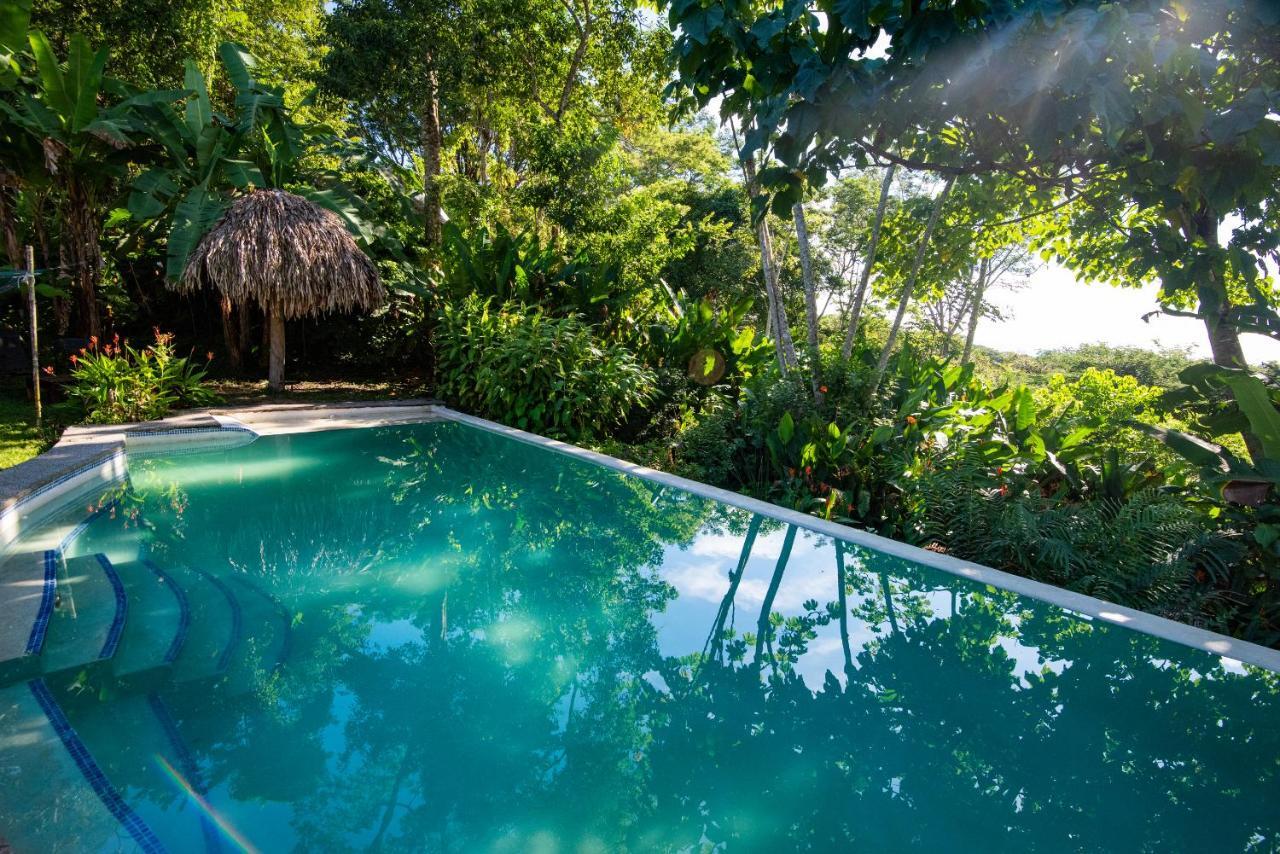 Jungle Lodge At Wild Sun Rescue Center Cabuya  Exterior foto